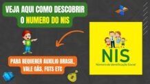 Como Descobrir o Número do Meu Nis | como encontrar o número Nis